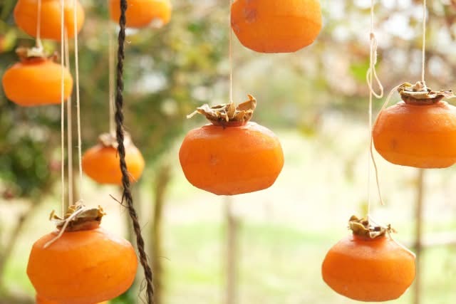 【金曜店舗受け取り】 清治さんちの渋柿