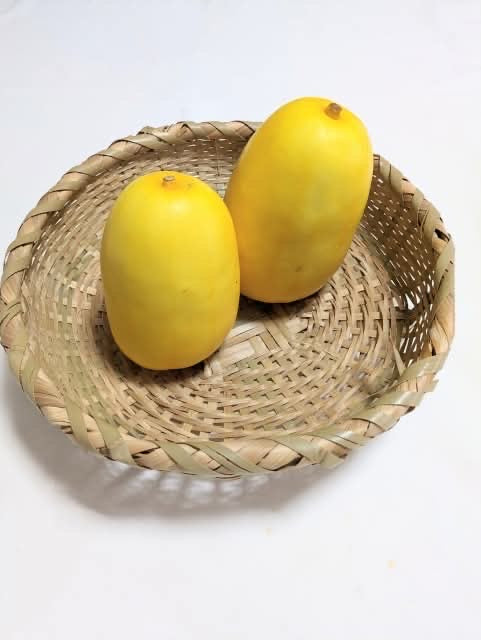 【金曜店舗受け取り】 清治さんのマクワウリ