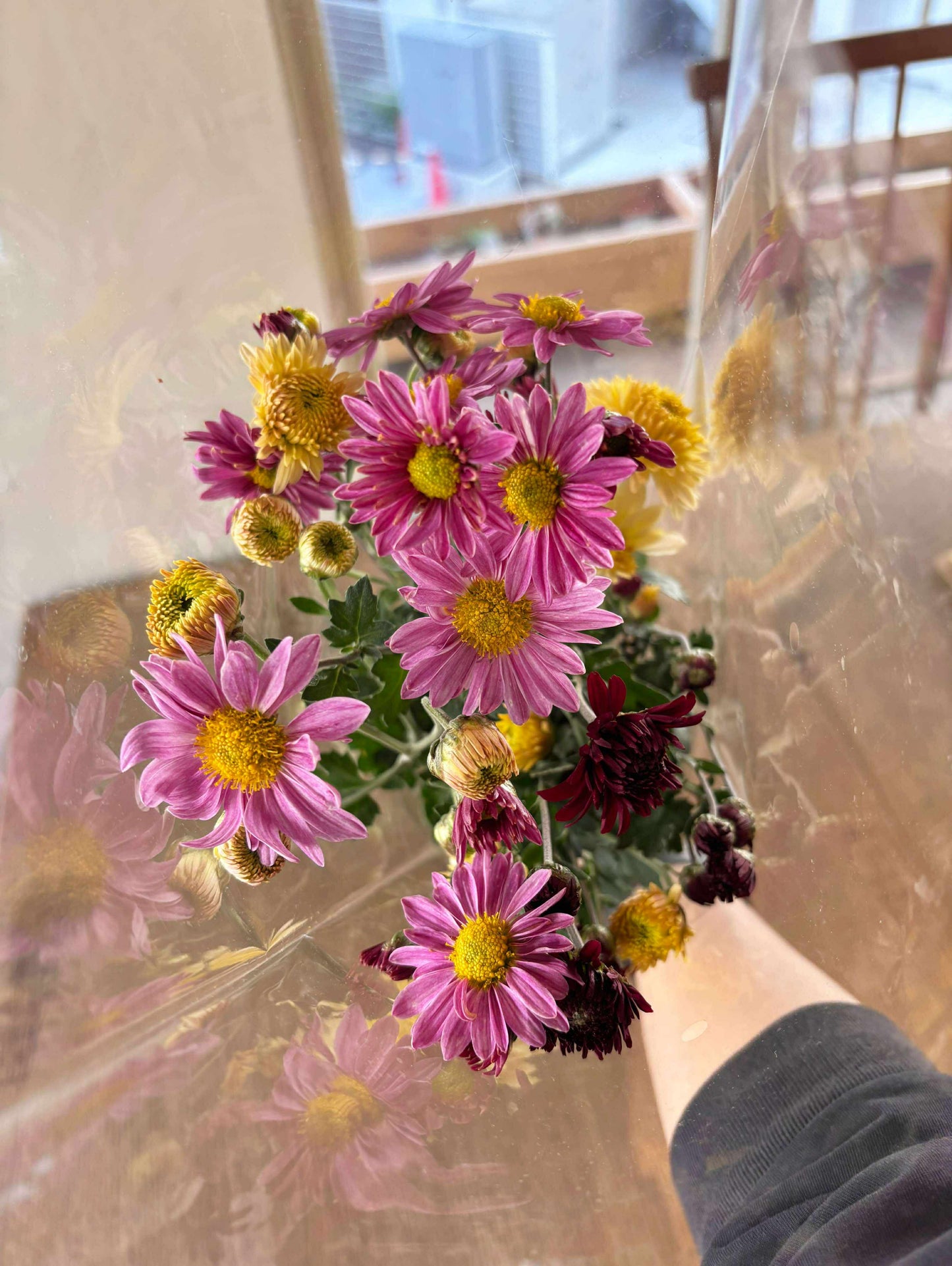 【金曜店舗受け取り】 糸萬園の切り花 菊