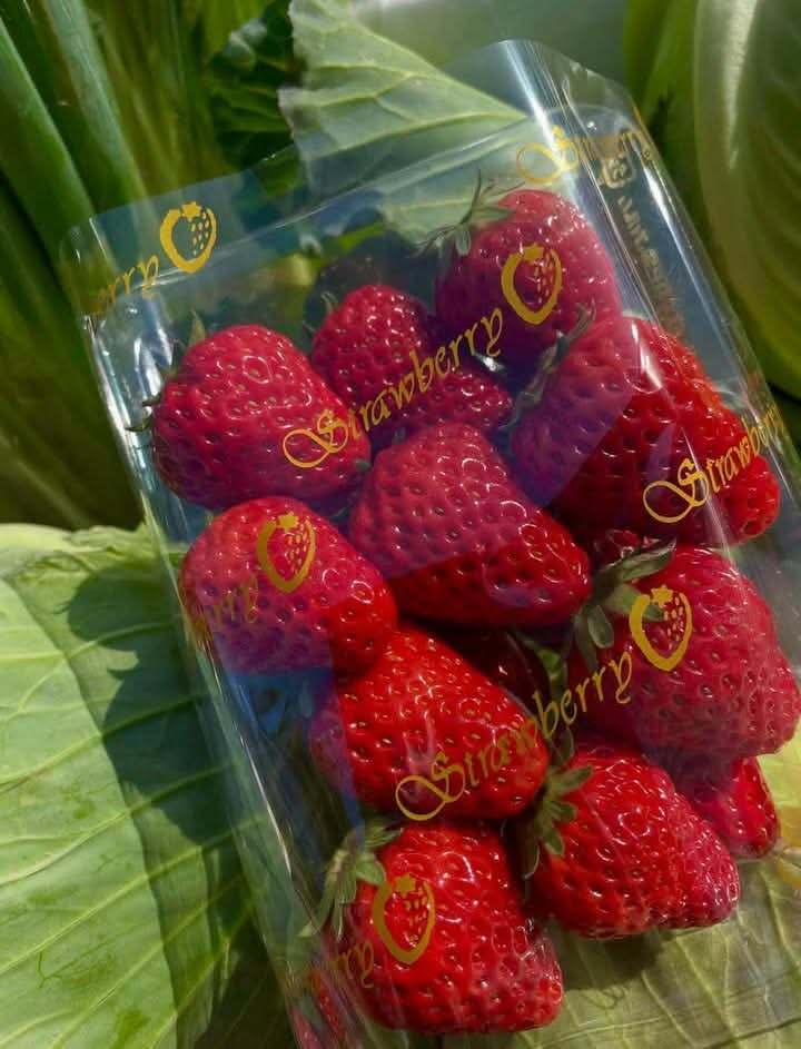 【金曜店舗受け取り】岸野さんのいちご(紅ほっぺ)