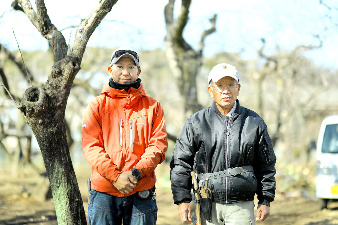 直売所（農家）／糸萬園