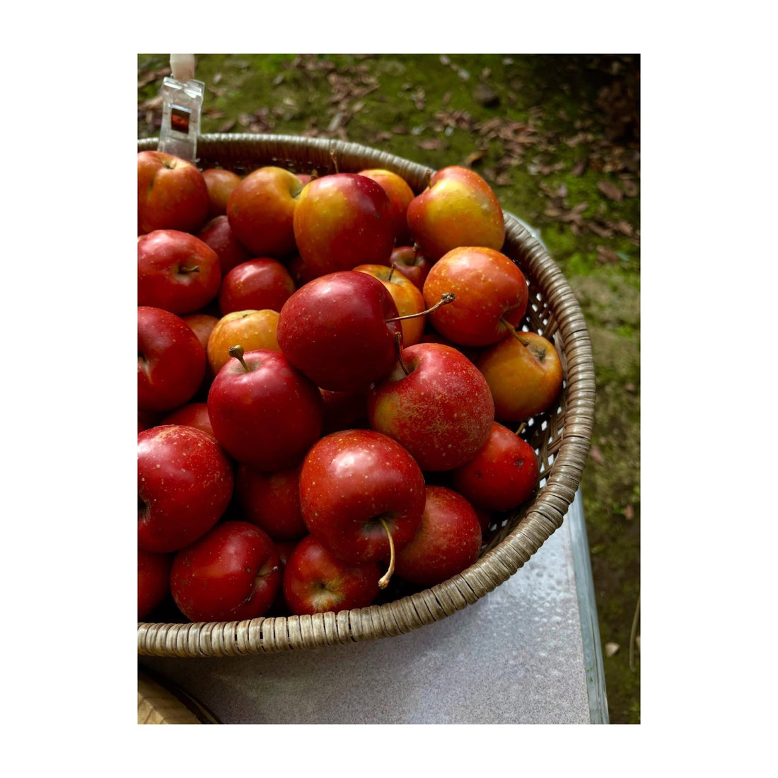 年末年始のお知らせ