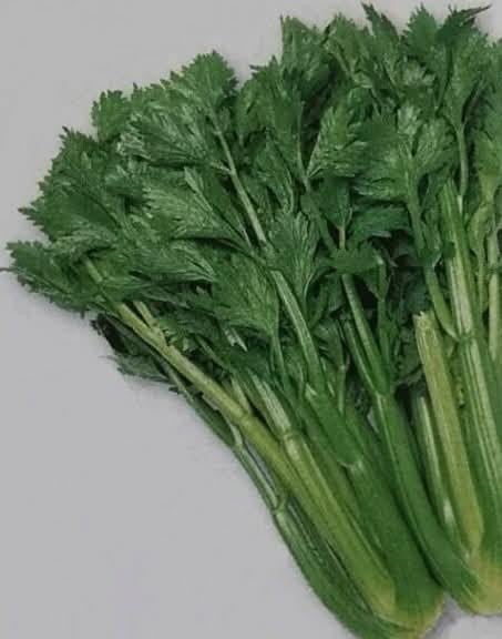 【金曜店舗受け取り】小坂農園のセロリ