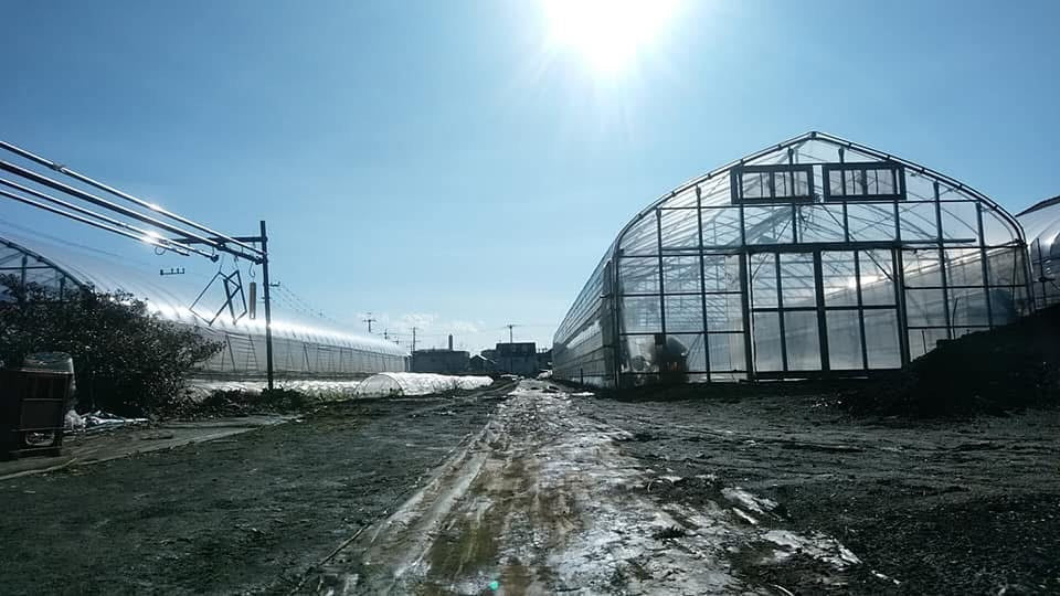 【金曜店舗受け取り】冬のこくベジセットB