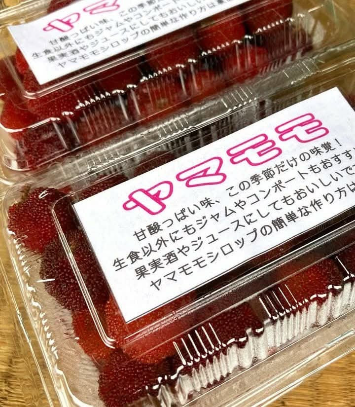 【金曜店舗受け取り】清治さんのヤマモモ