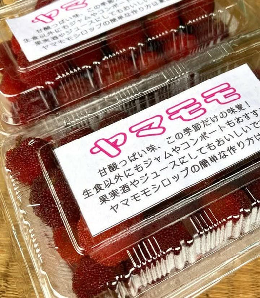 【金曜店舗受け取り】清治さんのヤマモモ