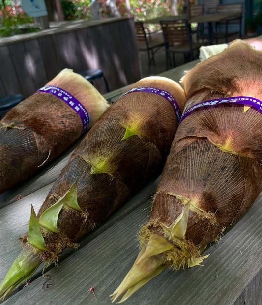 【金曜店舗受け取り】 こくベジのたけのこ