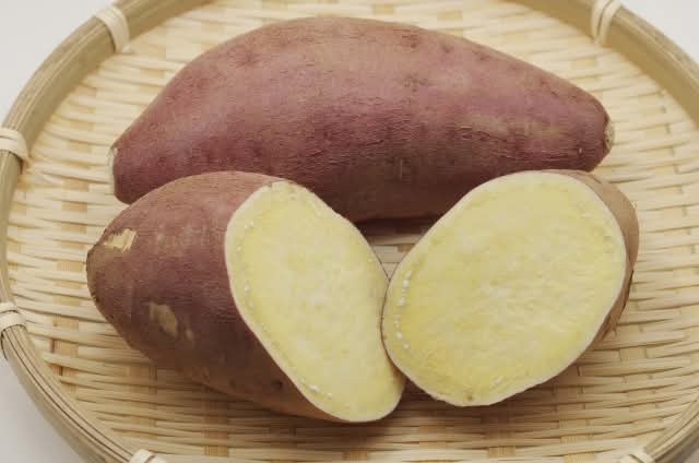 【金曜店舗受け取り】糸萬園のサツマイモ(栗かぐや)